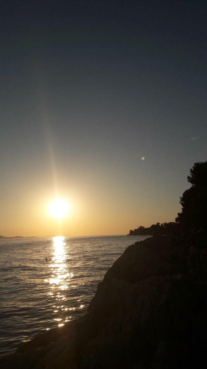 Orhideja Apartment Zadar Bagian luar foto